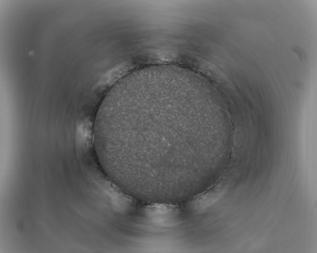 X0000112110672200908181349