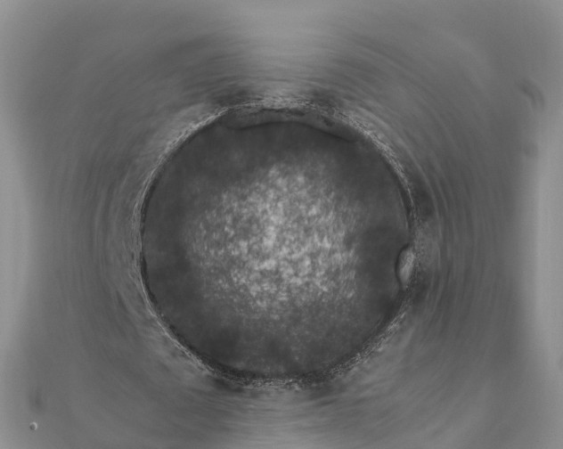 X0000112110673200908181348