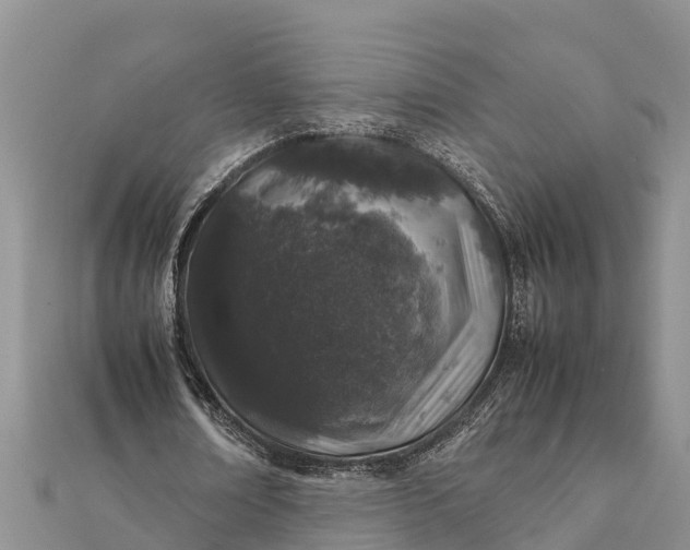 X0000112110674200908181348