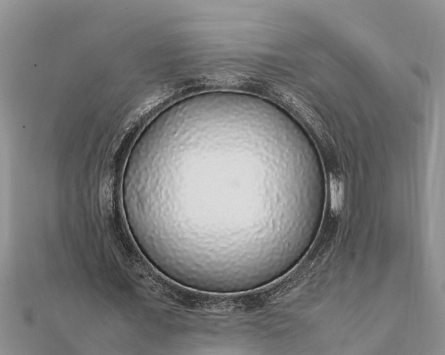 X0000112110675200908181348