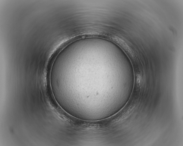 X0000112110676200908181348