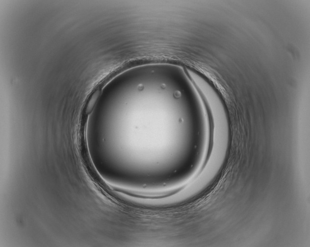 X0000112110677200908181348