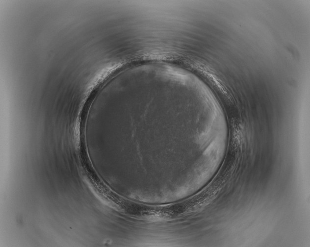 X0000112110678200908181348