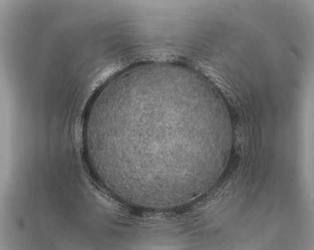 X0000112110679200908181348