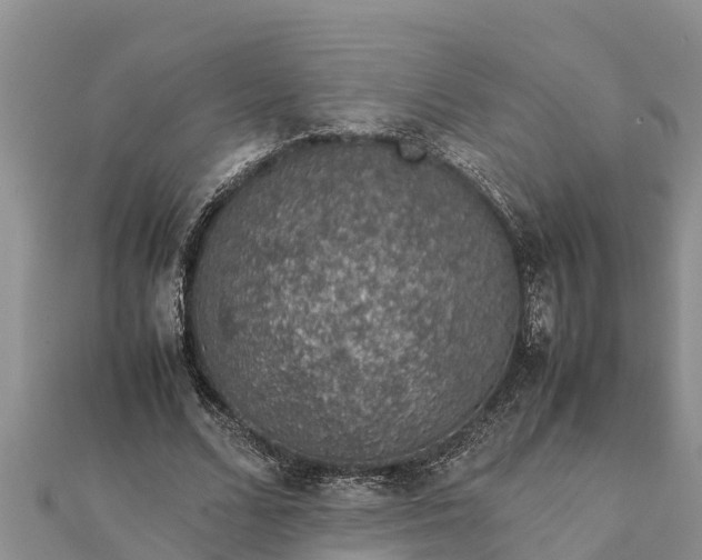 X0000112110680200908181348