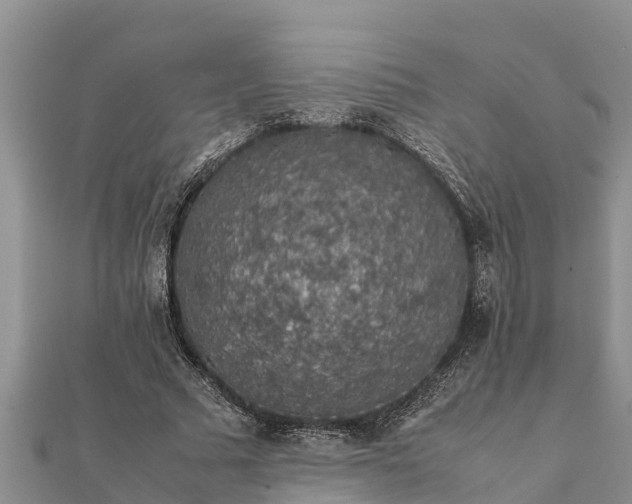 X0000112110681200908181348