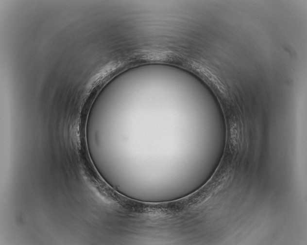 X0000112110682200908181348