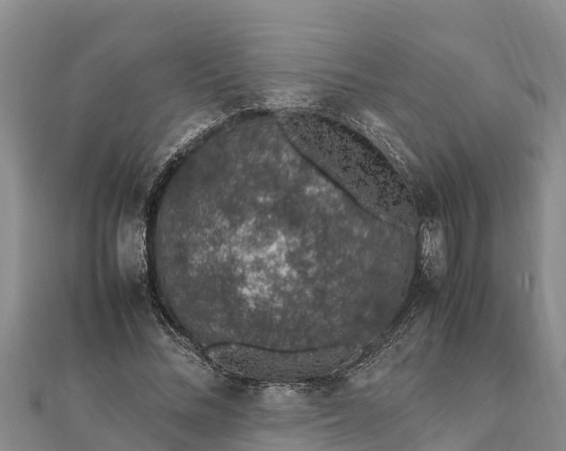 X0000112110684200908181348