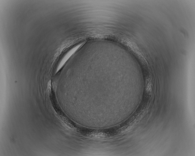 X0000112110685200908181348