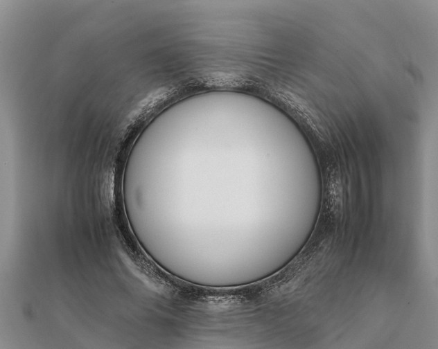 X0000112110686200908181348