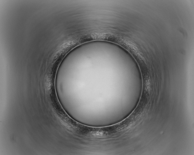 X0000112110687200908181348