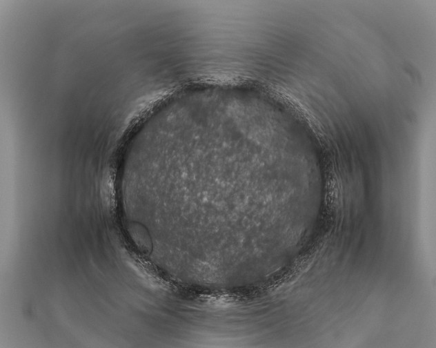 X0000112110688200908181348