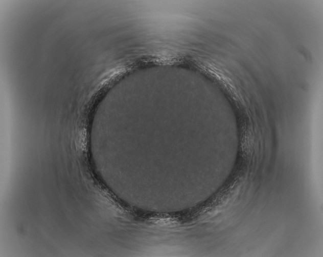 X0000112110689200908181348