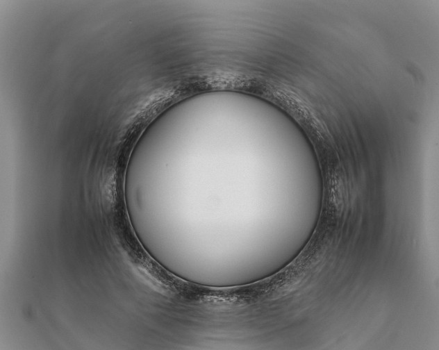 X0000112110690200908181348