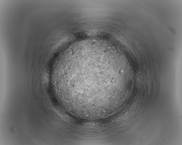 X0000112110691200908181348