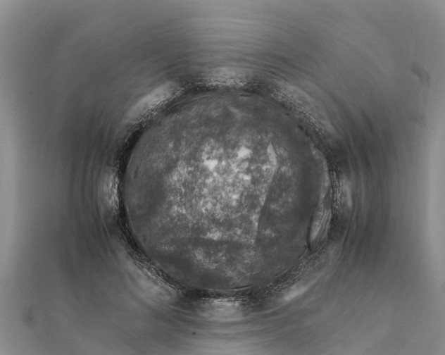 X0000112110692200908181348