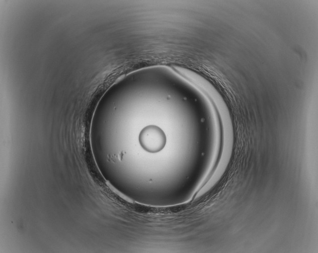 X0000112110693200908181348