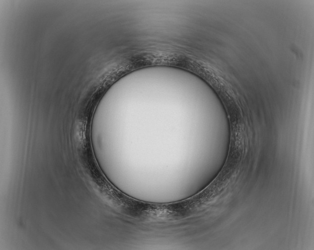 X0000112110695200908181348