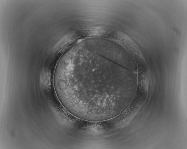 X0000112110696200908181348