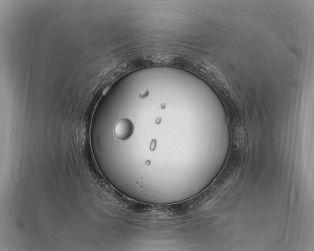 X0000112110697200908181348