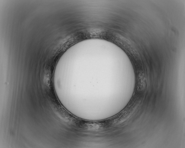 X0000112110698200908181348