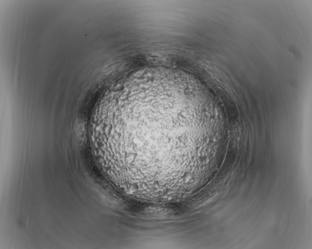 X0000112110699200908181348