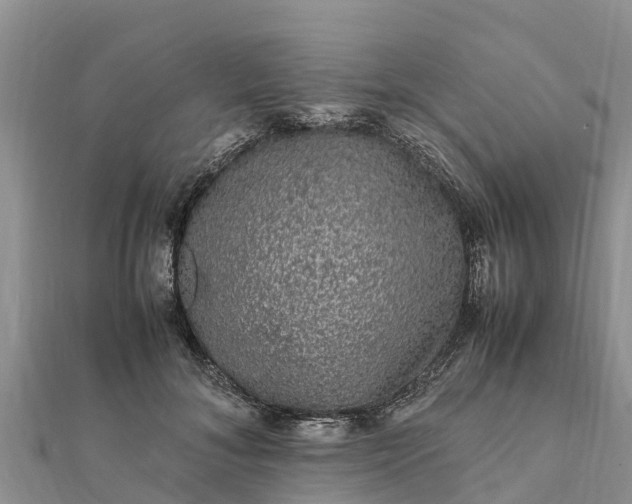 X0000112110700200908181348