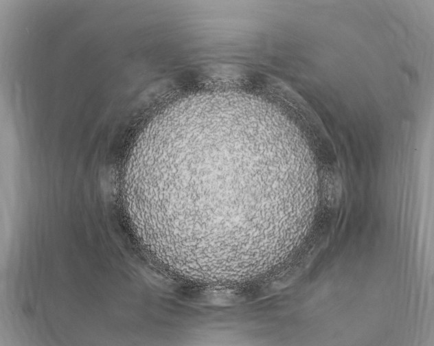 X0000112110701200908181348