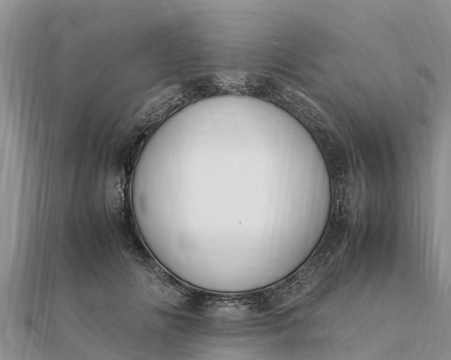 X0000112110702200908181348