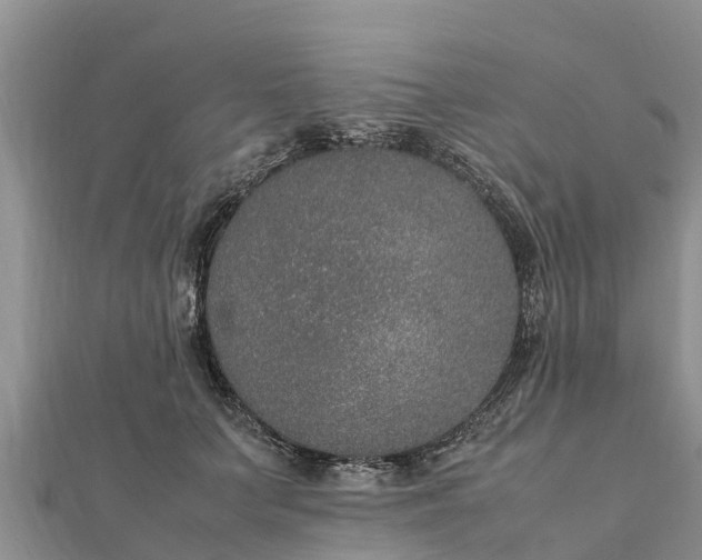 X0000112110703200908181348