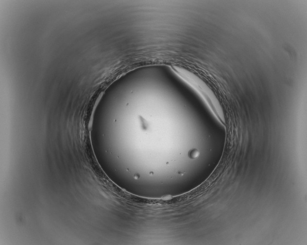 X0000112110704200908181348