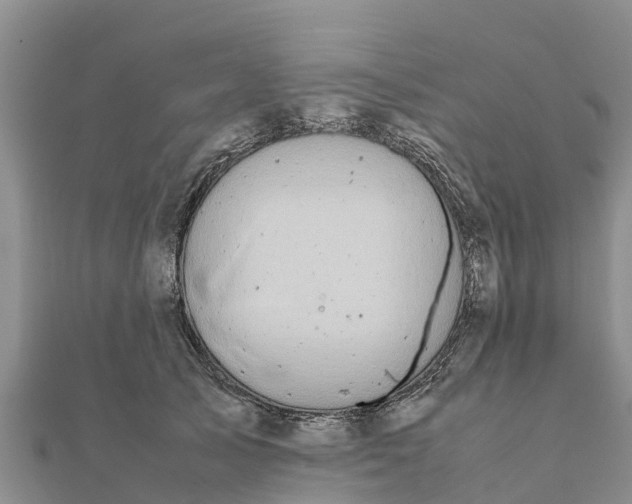 X0000112110705200908181348