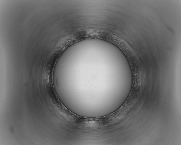 X0000112110706200908181347