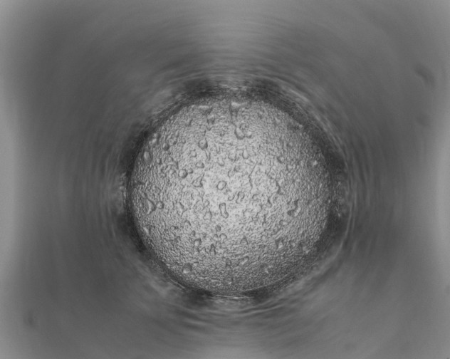 X0000112110707200908181347