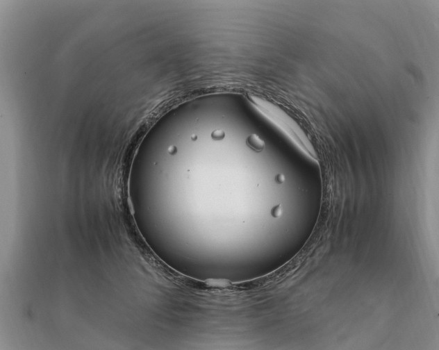 X0000112110708200908181347