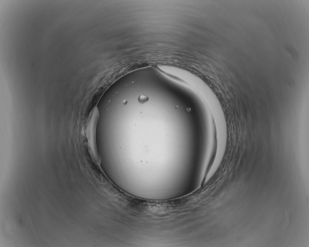 X0000112110709200908181347