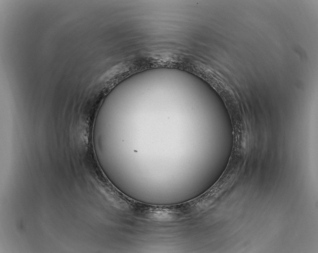 X0000112110710200908181347