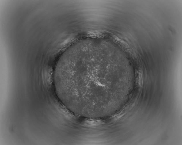 X0000112110712200908181347