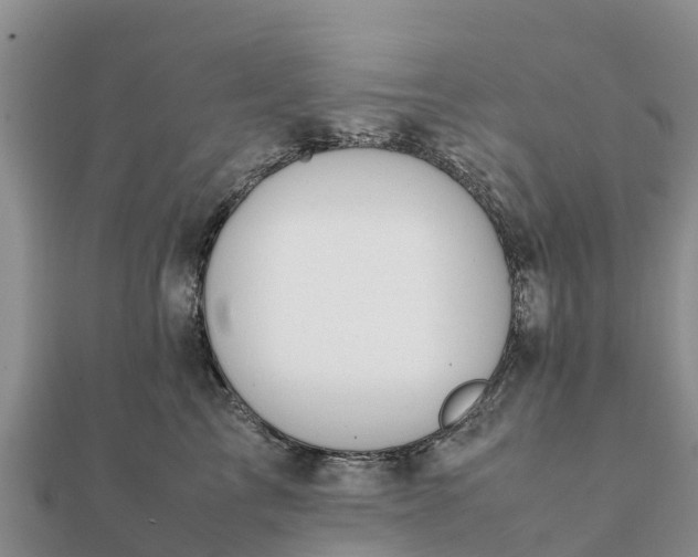 X0000112110713200908181347