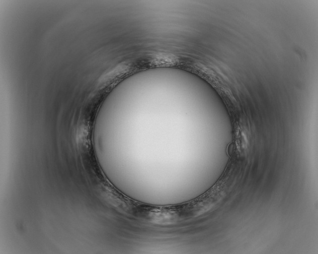 X0000112110714200908181347