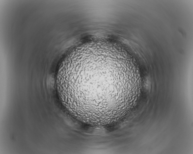 X0000112110715200908181347