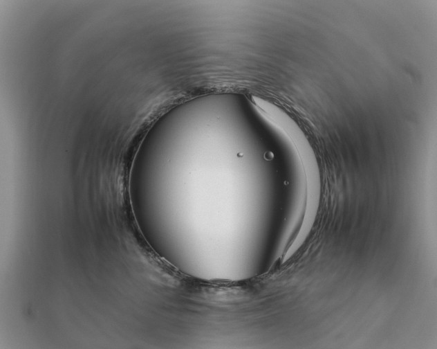 X0000112110716200908181347