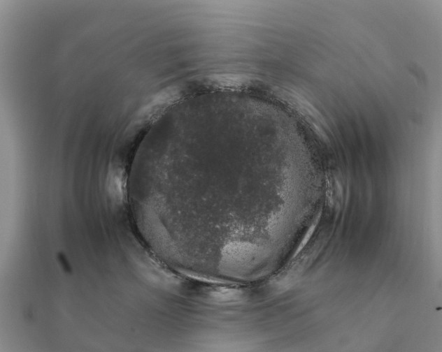 X0000112110718200908181347