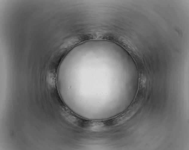 X0000112110719200908181347