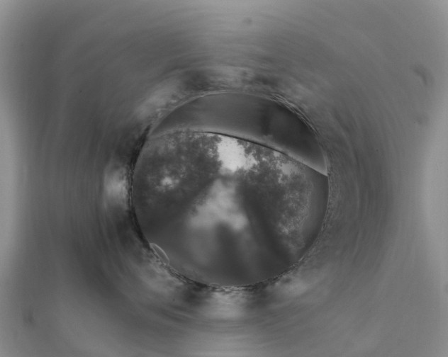 X0000112110720200908181347