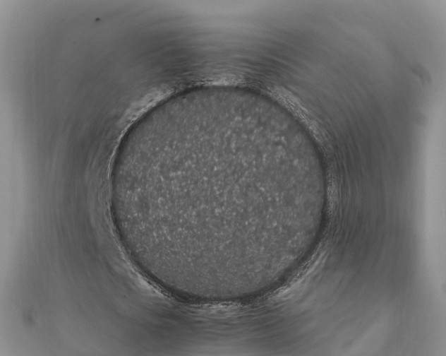 X0000112110721200908181347