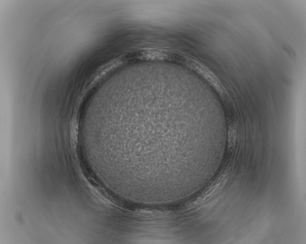 X0000112110722200908181347