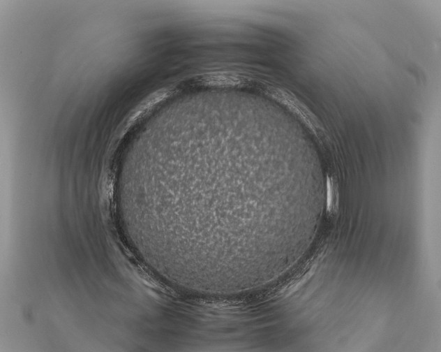 X0000112110723200908181347