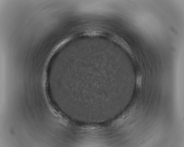 X0000112110724200908181347