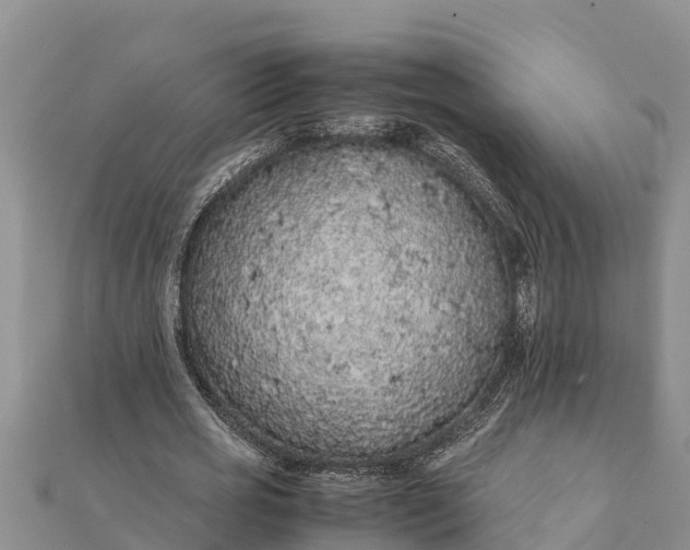 X0000112110725200908181347